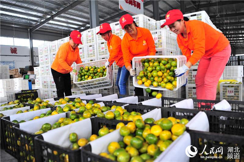 �����˲�������ϲ���� �����԰����12��