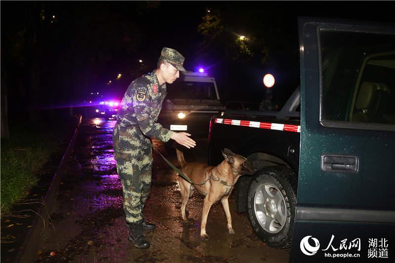 軍犬排查爆炸物