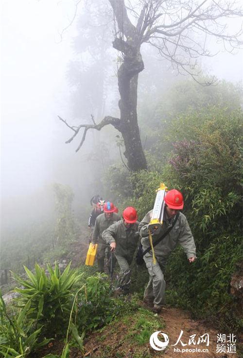 大霧中行走