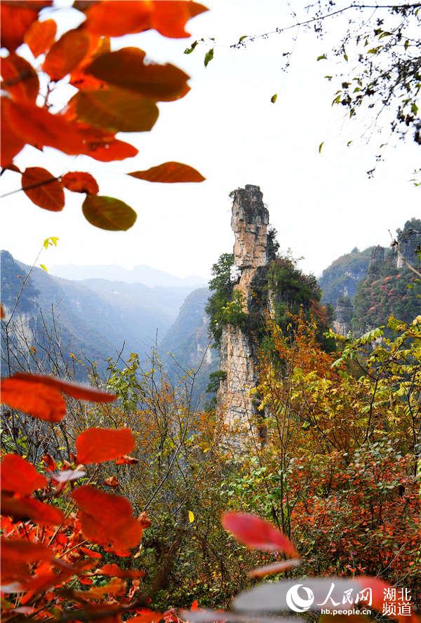 2020年10月25日，湖北省襄陽市保康縣九路寨生態旅游區的楚王峰。