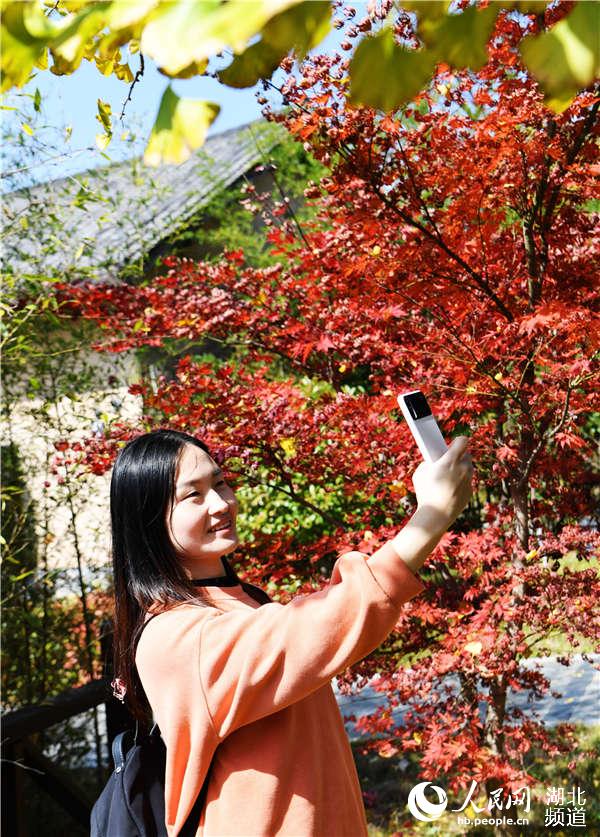 2020年10月25日，游客在湖北省襄陽市保康縣九路寨生態旅游區拍攝紅葉。