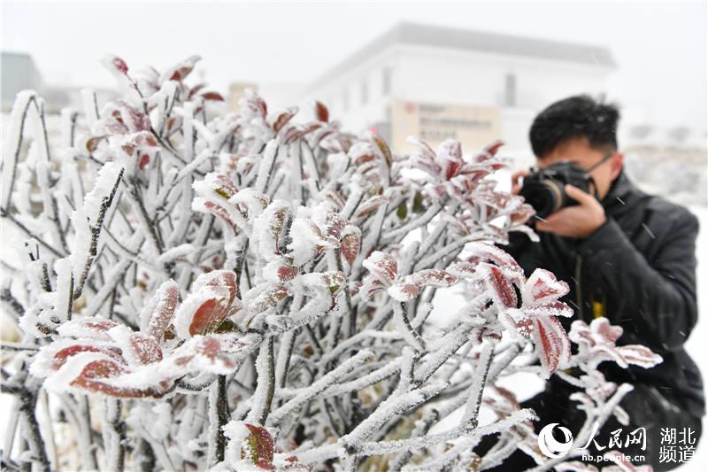 2020年11月22日，游客在湖北省襄陽市保康縣后坪鎮橫沖景區拍攝霧凇景觀。
