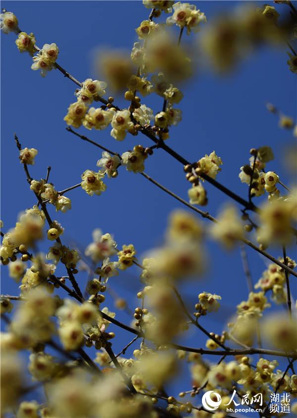 ��÷���� 