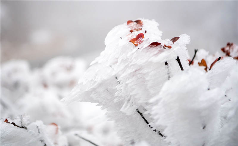 2021��2��28�գ��ں���ʡ�����б����غ�徰���������ڡ������