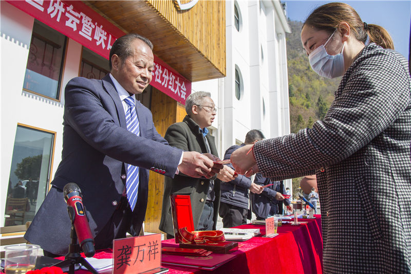 湖北秭归:300多名茶农喜分红