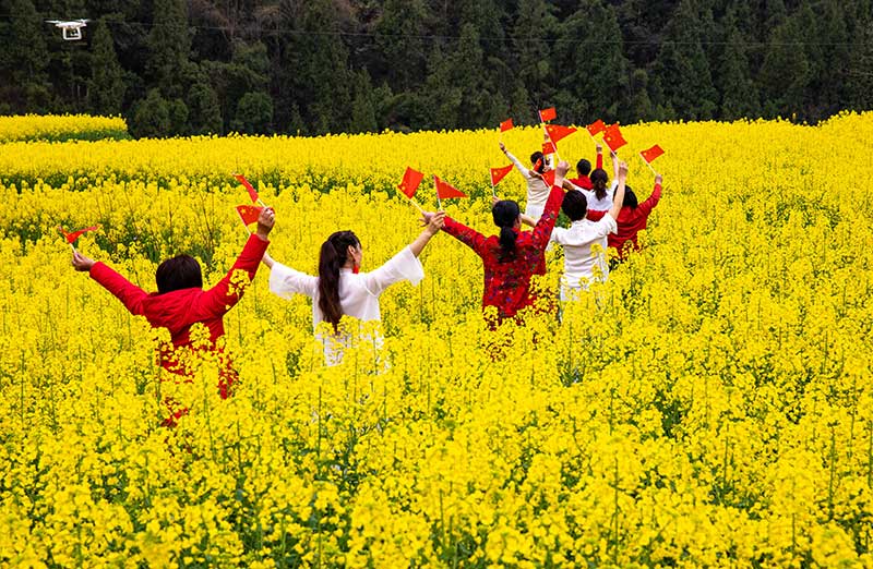 高清組圖：湖北興山高山龍池千畝油菜花盛開 美如畫卷