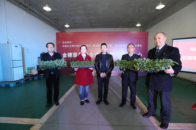 武漢市農科院向企業捐贈茄子、西瓜和辣椒種苗。（鄧洲攝）