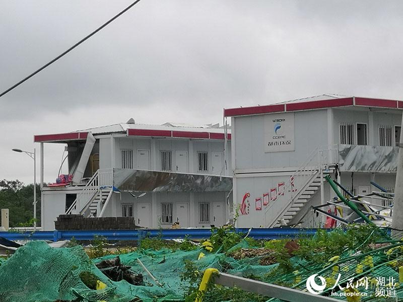人民網記者探訪武漢蔡甸9級大風災后現場。人民網 王郭驥攝