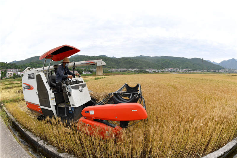 5��21�գ��ں���ʡ�����б�������������ƺ�壬�����ʻ�ո���ո�С��