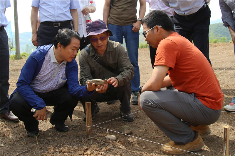2021年5月30日，在發掘現場，考古工作人員在查看發掘出的石器。