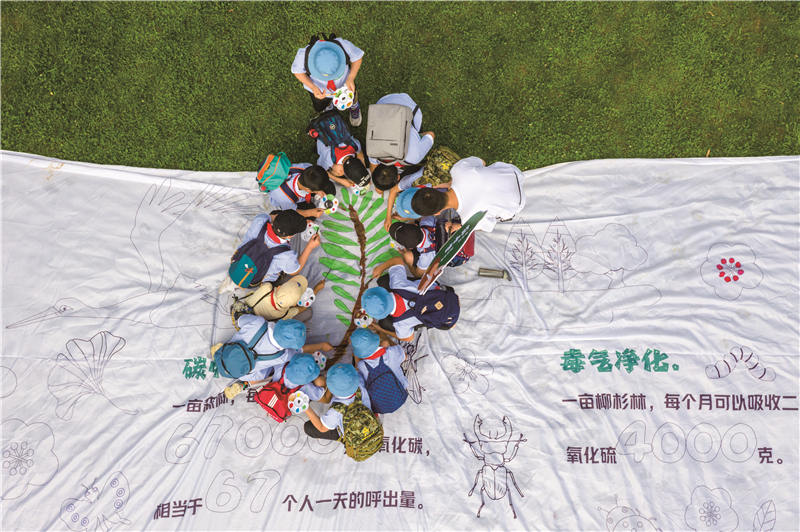 紀念六五環境日湖北主場武漢分會場活動（武漢市園林和林業局 供圖）
