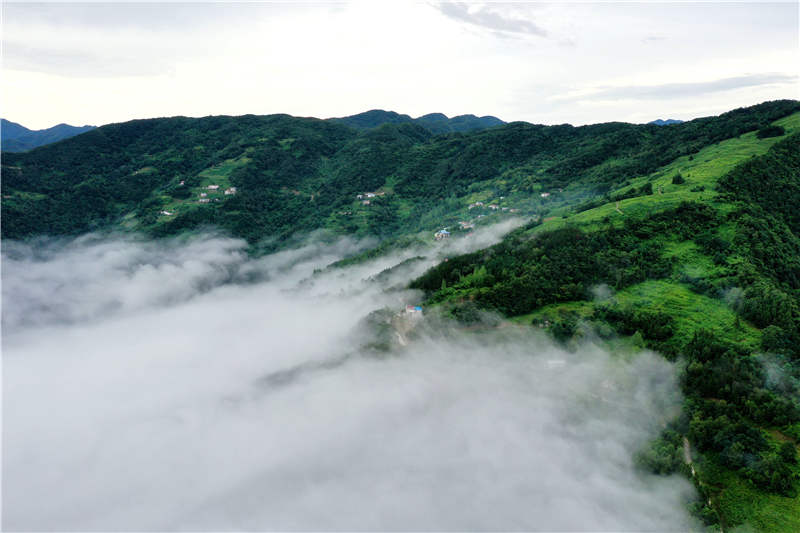 ����������������翾��续��5��