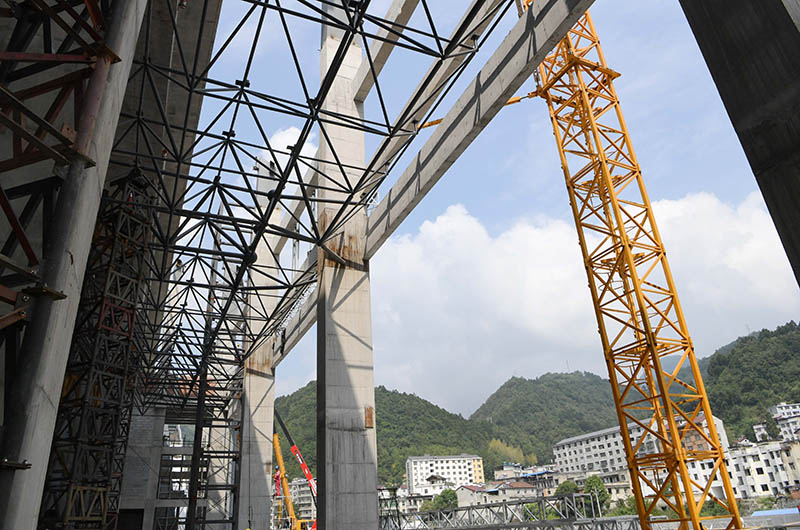 ����������֣�������վ���������ݱ��14��