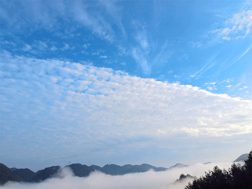 湖北宣恩：大橋雲海美如畫【5】
