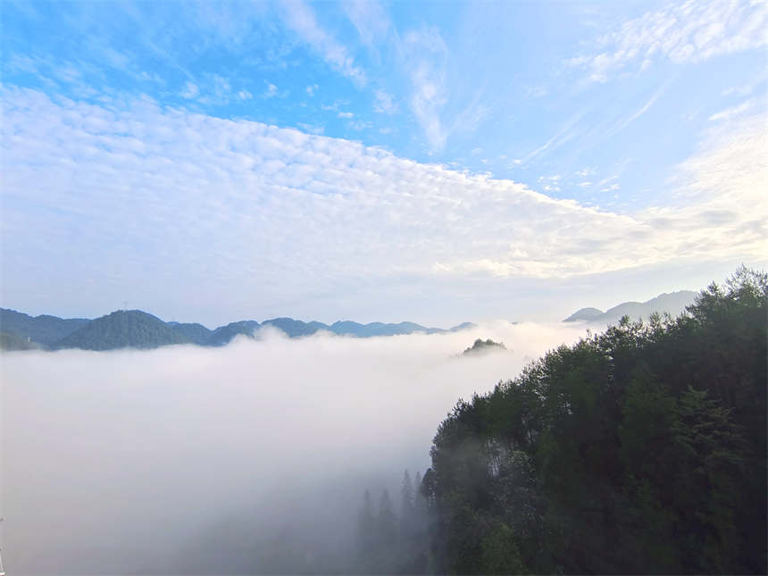 湖北宣恩：大橋雲海美如畫【4】