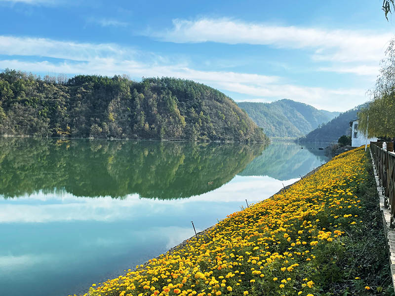 堵河沿岸一路花相隨
