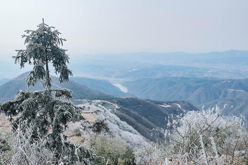 湖北紅安：老君山雪后初霽 現“玉樹瓊花”【2】