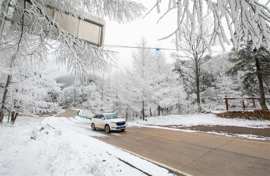 1月9日，一辆小汽车行驶在湖北省保康县后坪镇詹家坡村路段。