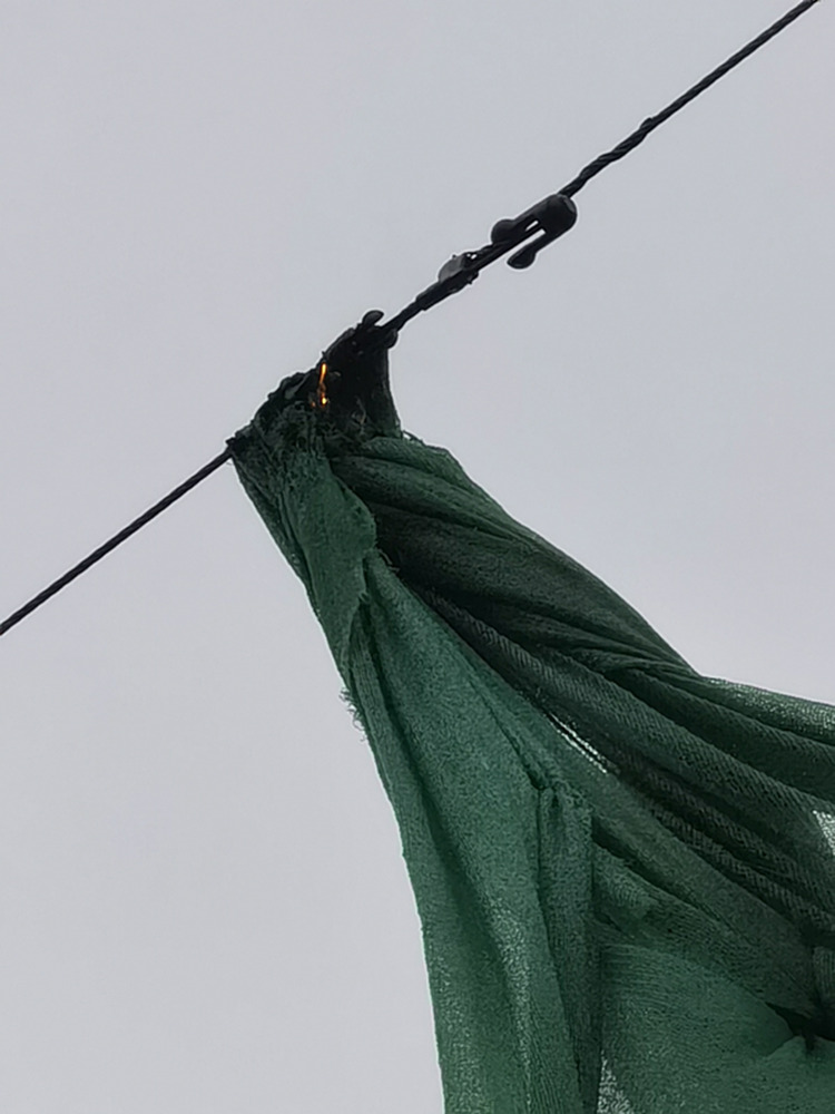 國網鄂州供電公司檢修人員用激光炮清除異物，保障線路安全運行。