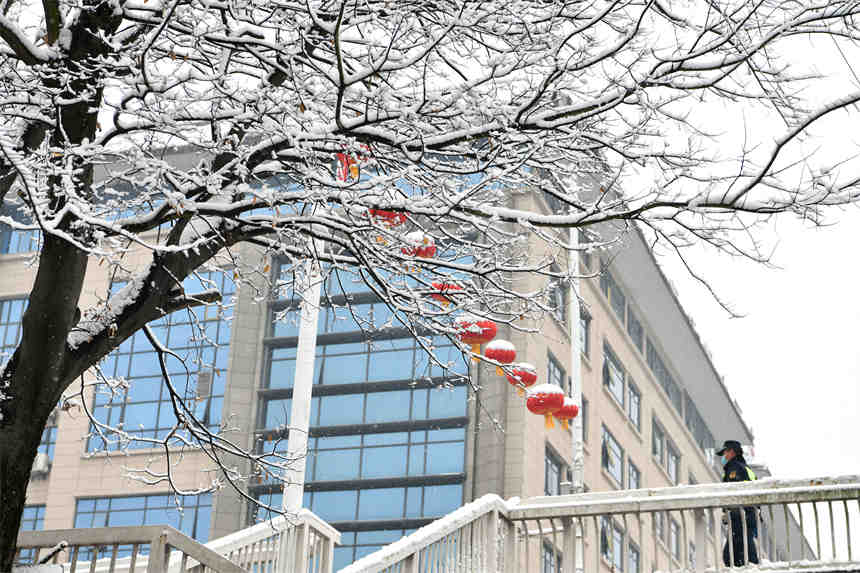 1月28日，在湖北省襄陽市保康縣清溪河景觀公園，一顆大樹被白雪覆蓋。