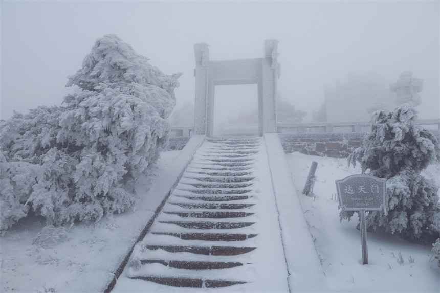湖北天台山：枝頭白雪迎風傲立。