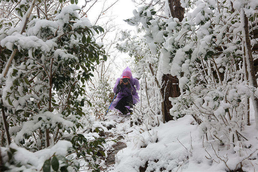 武漢將軍山被白雪覆蓋成冰雪世界