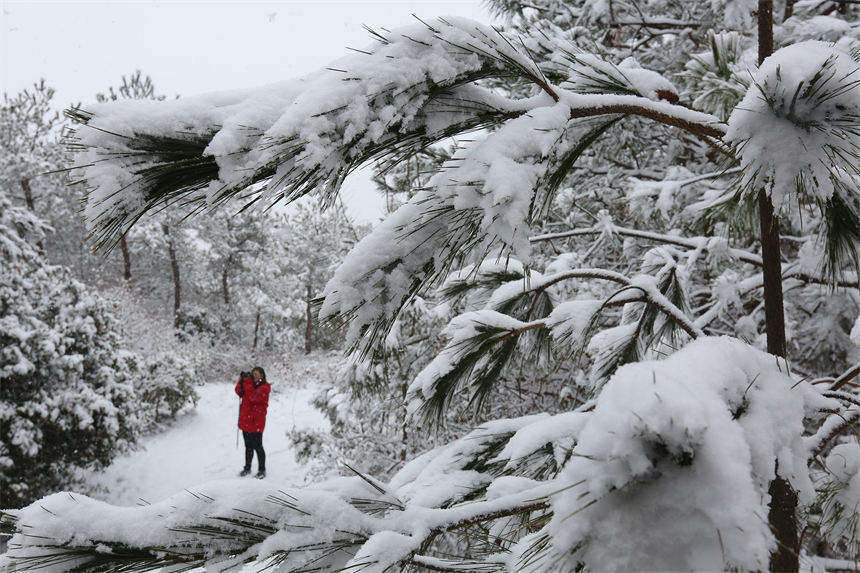 武漢將軍山被白雪覆蓋成冰雪世界【5】