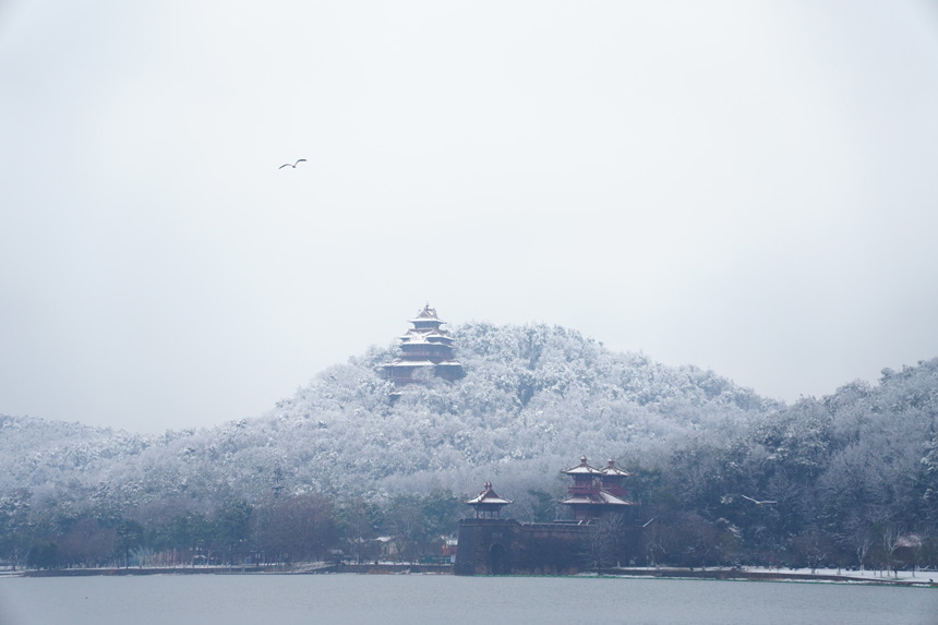 東湖綠道雪景，美不勝收。東湖文旅供圖