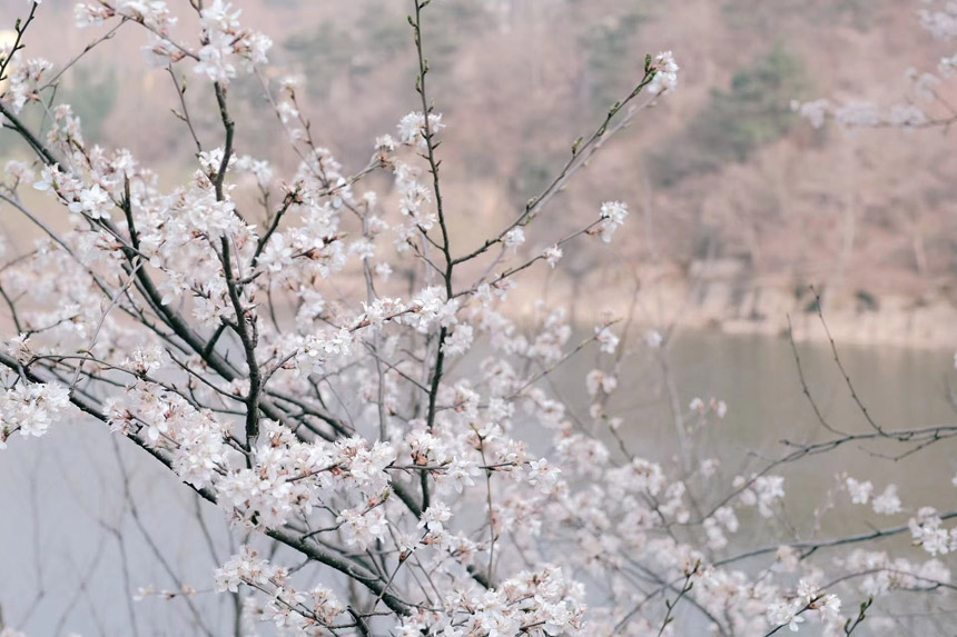 �����찲����ĶҰӣӳ��̨��6��