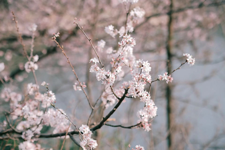 �����찲����ĶҰӣӳ��̨��4��