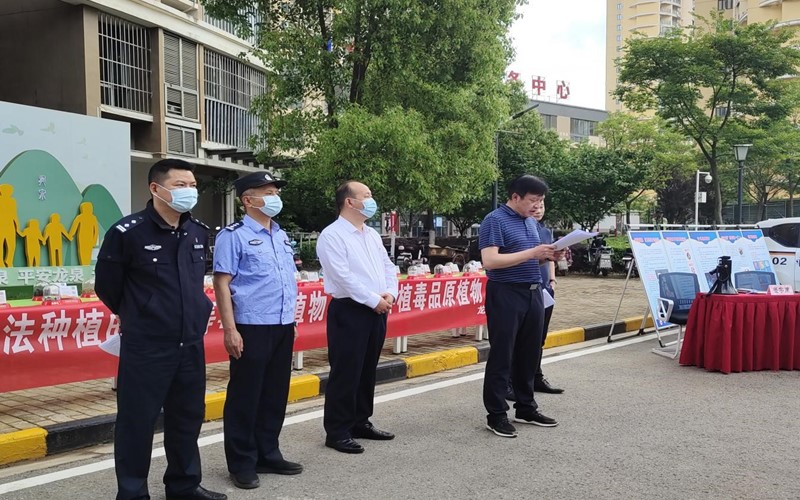 龍泉街道黨工委副書記艾建華安排部署“天目-2022”禁種鏟毒專項行動實施方案。