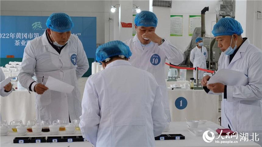革命老區湖北紅安 :“脫貧茶”走出“振興路”。人民網 郭婷婷攝
