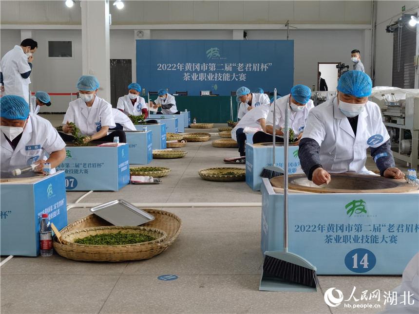 革命老區湖北紅安 :“脫貧茶”走出“振興路”。人民網 郭婷婷攝