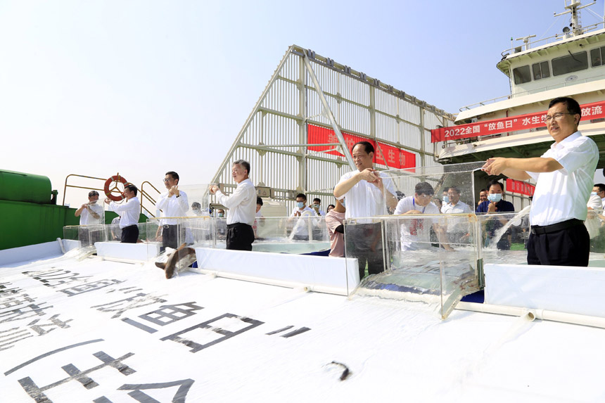 �������ա�ˮ��������ֳ�������᳡��ں����人���С��׽���