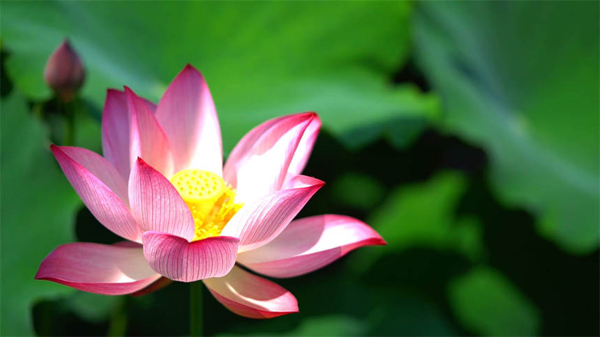 찲ʾ羰ҵ8