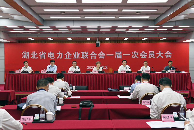 湖北省電力企業聯合會一屆一次會員大會在武漢召開。涂坦攝