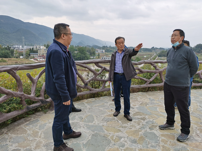 湖北中煙駐村工作隊隊長吳曦華(中)和隊員曾凱(右一)一起向問道信息黨支部書記蔣楠(左一)介紹南坪村村情村貌。劉曉筠攝