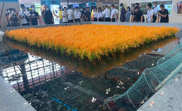 湖北省糧食局持續支持潛江糧食和蝦稻產業發展
