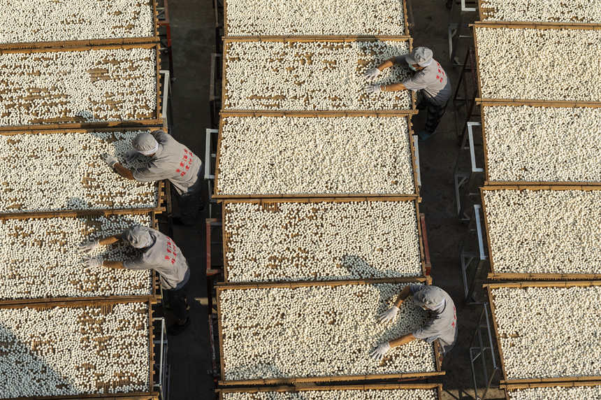 7月26日，湖北省宜昌市秭归县，湖北楚寨发酵制品有限公司工人在晾晒刚生产的酵母