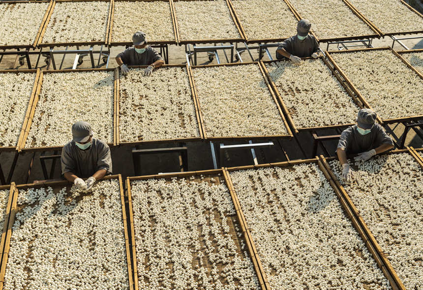 7月26日，湖北省宜昌市秭歸縣，湖北楚寨發酵制品有限公司工人在晾晒剛生產的酵母。