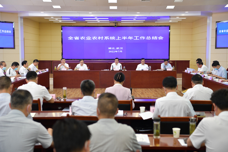 湖北省农业农村系统上半年工作总结会议在武汉举行。孔剑摄