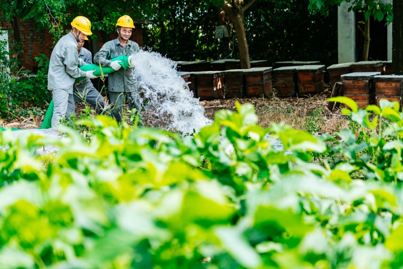 为东荆街南村村民肖俊检查用电安全后，投运小水泵灌溉40亩黄豆农田。毛强摄