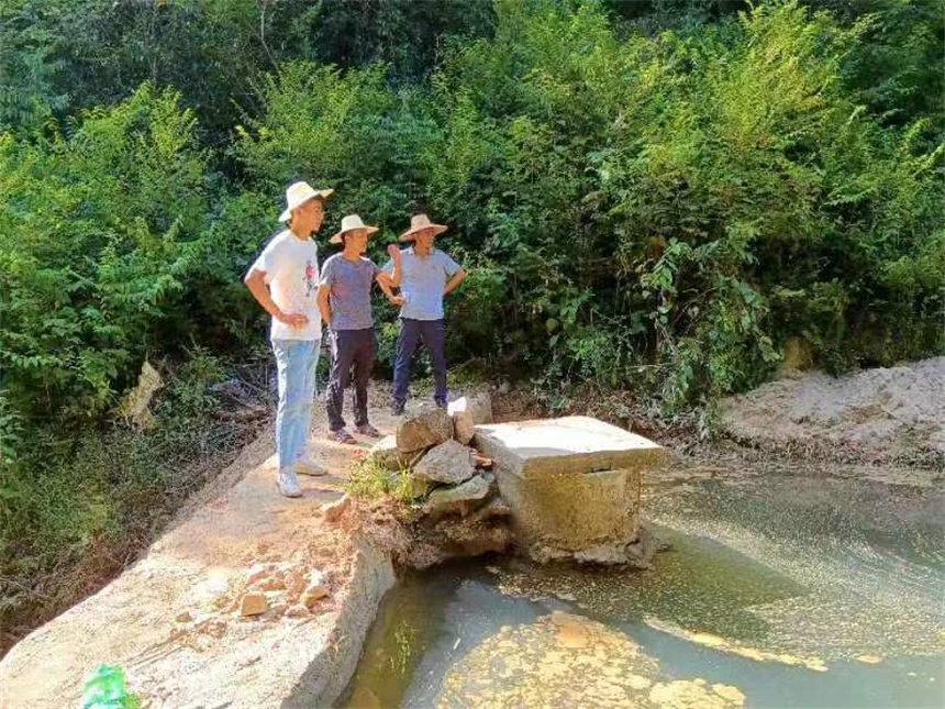 湖北浠水：塆組夜話聚共識 黨群齊心抗大旱 