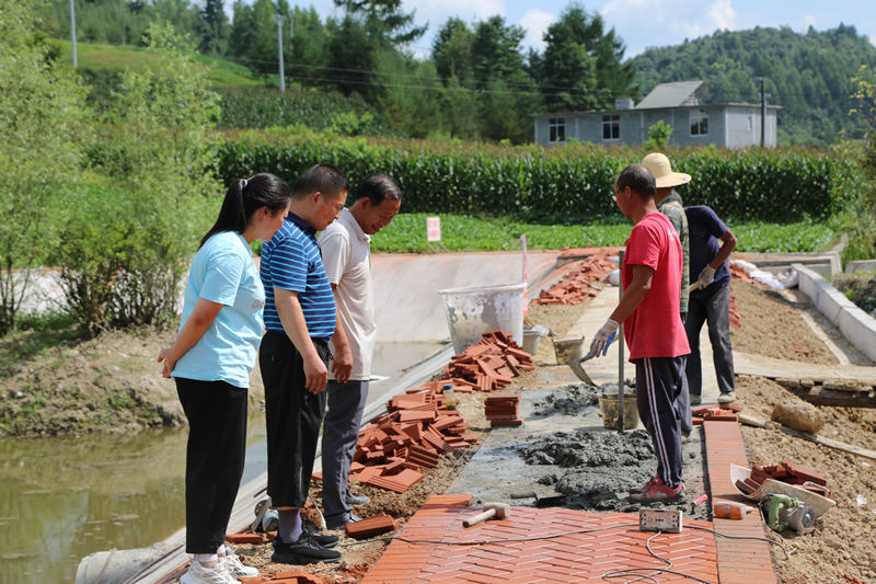 工作队和村支两委查看琵琶湖项目进度。