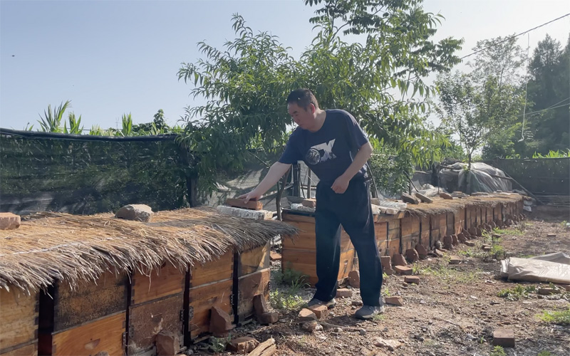 中华小蜜蜂产业。