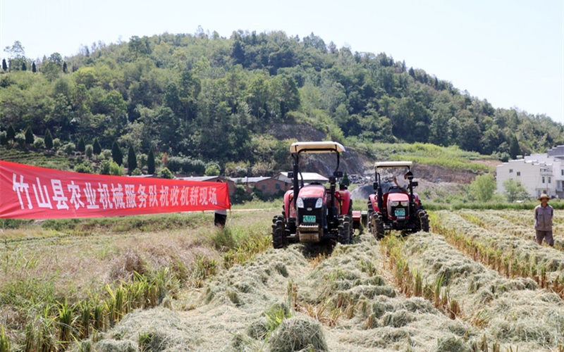 湖北竹山7萬畝水稻進入成熟期,機收助顆粒歸倉。