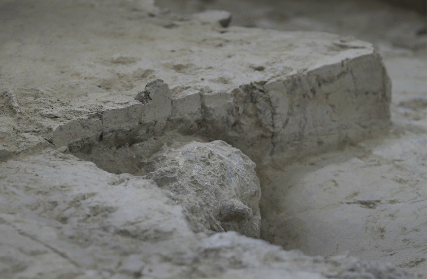 鄖縣人3號頭骨化石正面照。湖北省文物考古研究院提供