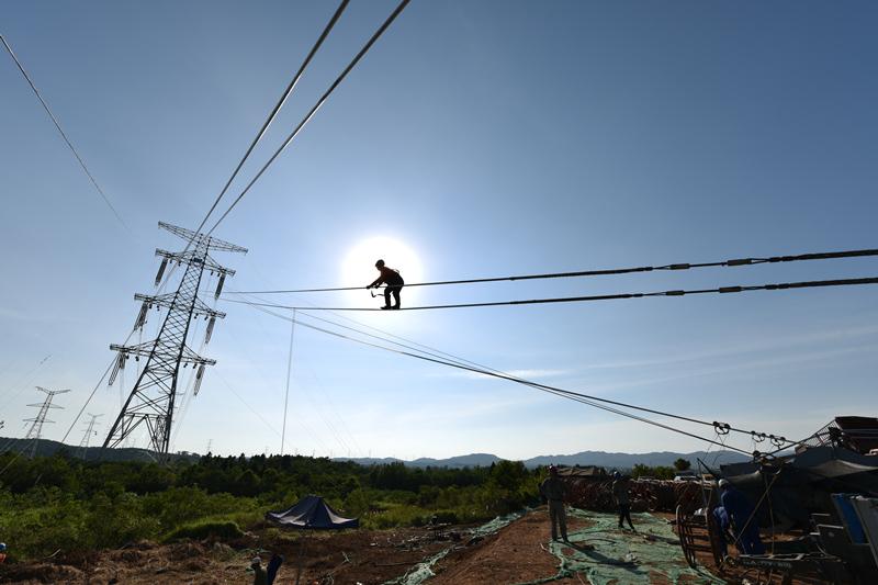 国网湖北电力员工正在荆门-武汉1000千伏特高压建设现场开展导线展放锚线作业。邹小民摄