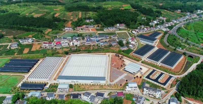五福龍井智慧農創園航拍圖。
