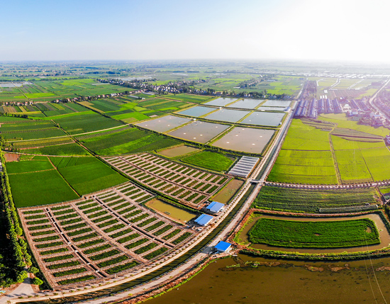 荆州市荆州区弥市镇节水灌溉助力湖北高质量发展